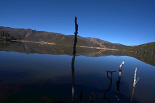 普达措森林公园