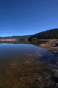 普达措森林公园