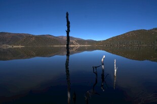 普达措森林公园