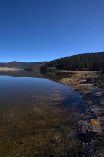 普达措森林公园