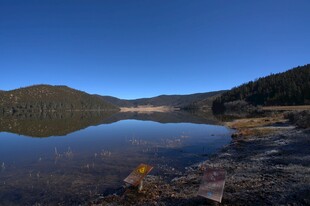 普达措森林公园