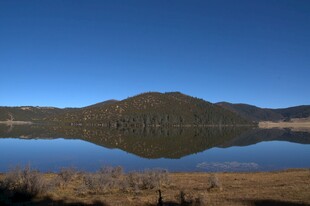 普达措森林公园