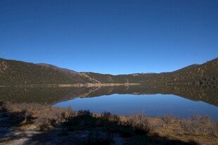 普达措森林公园