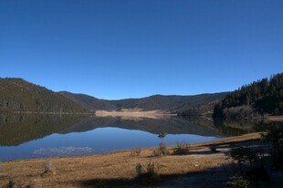 普达措森林公园