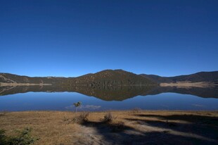 普达措森林公园