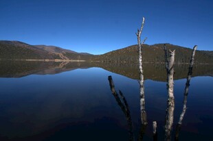 普达措森林公园
