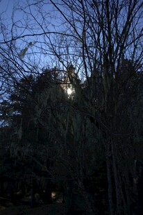 普达措森林公园