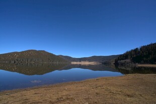 普达措森林公园