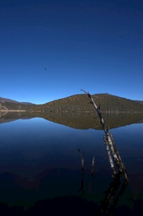 普达措森林公园