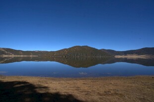 普达措森林公园