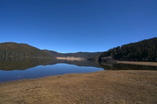 普达措森林公园