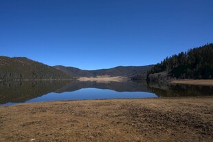 普达措森林公园