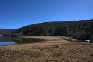 普达措森林公园