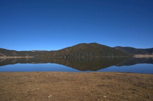 普达措森林公园