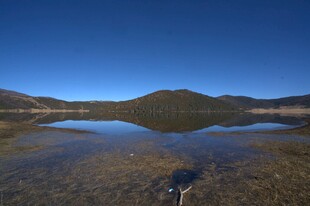 普达措森林公园