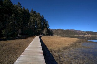 普达措森林公园