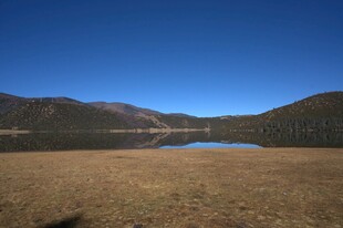 普达措森林公园