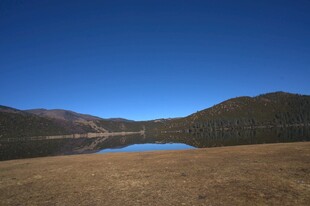 普达措森林公园