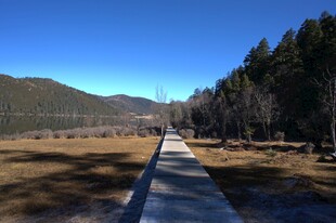 普达措森林公园