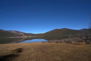 普达措森林公园