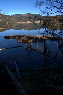 普达措森林公园