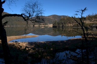 普达措森林公园