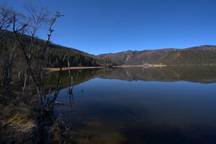 普达措森林公园