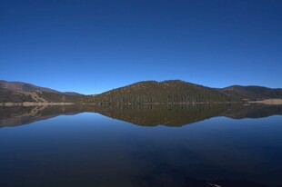 普达措森林公园