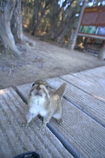 普达措森林公园