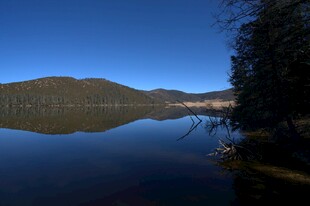 普达措森林公园
