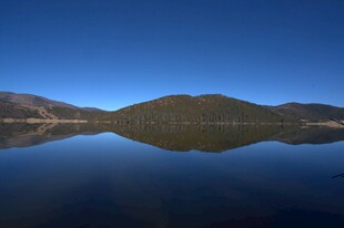 普达措森林公园