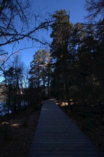 普达措森林公园