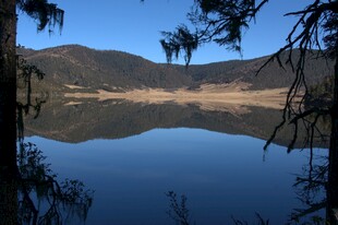 普达措森林公园