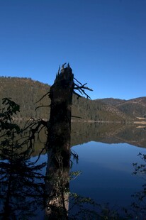 普达措森林公园