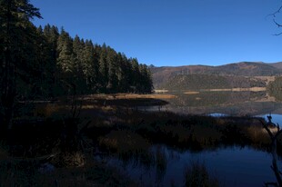 普达措森林公园