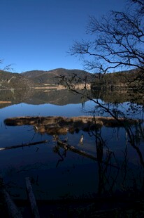 普达措森林公园