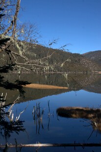 普达措森林公园