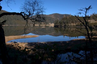 普达措森林公园