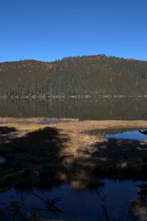 普达措森林公园