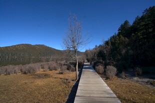 普达措森林公园