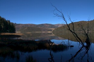 普达措森林公园