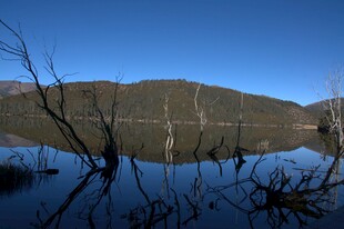 普达措森林公园