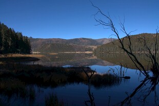 普达措森林公园