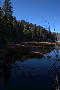 普达措森林公园