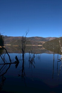 普达措森林公园