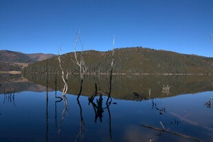 普达措森林公园