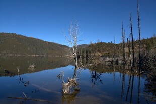 普达措森林公园