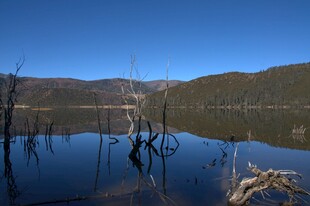 普达措森林公园