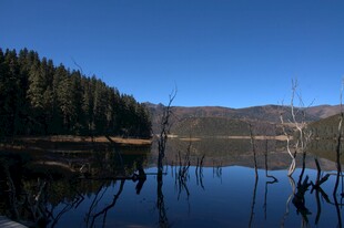 普达措森林公园