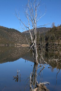 普达措森林公园